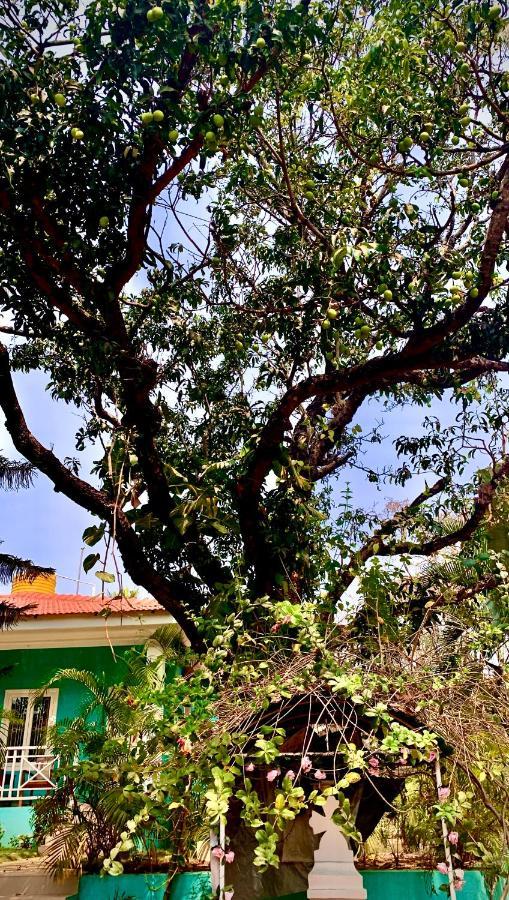 Stan-Inn, North Goa, Vagator, With Strong Wifi,Free Private Parking & Kitchen, Can Cook Where You Stay Exterior foto