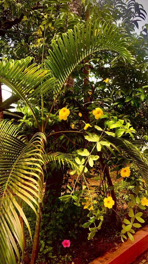 Stan-Inn, North Goa, Vagator, With Strong Wifi,Free Private Parking & Kitchen, Can Cook Where You Stay Exterior foto